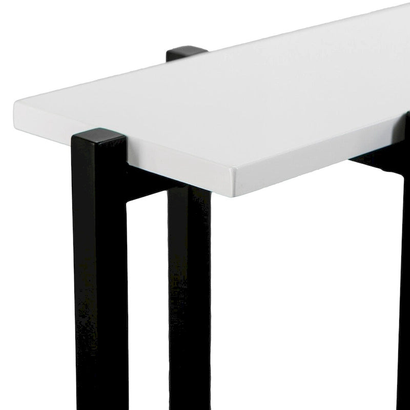 Black and White Contemporary Narrow Console Table