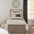Horizons Graystone Full Size Storage Bed